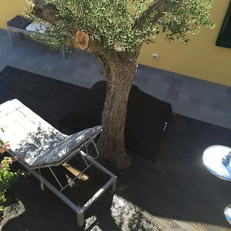 Maison D'olive * Imperia